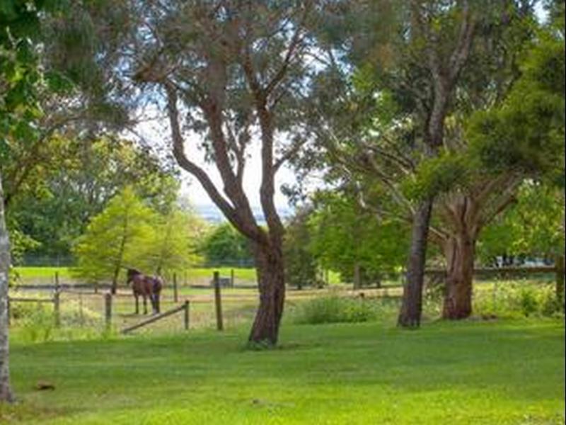 Lakes And Craters Holiday Park Camperdown Εξωτερικό φωτογραφία